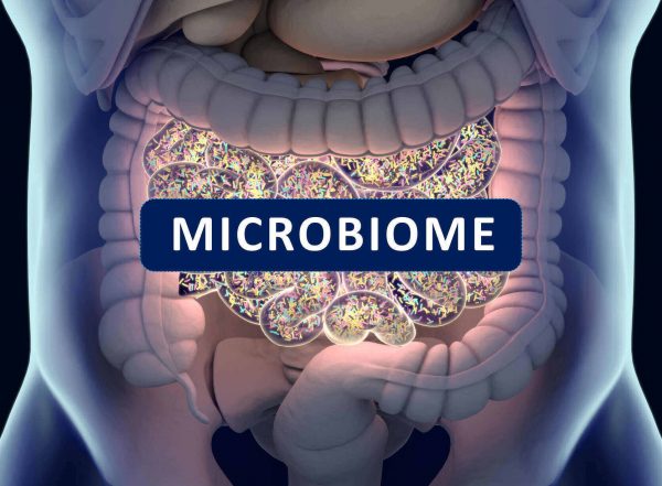Read more about the article Balanced Gut Microbiome